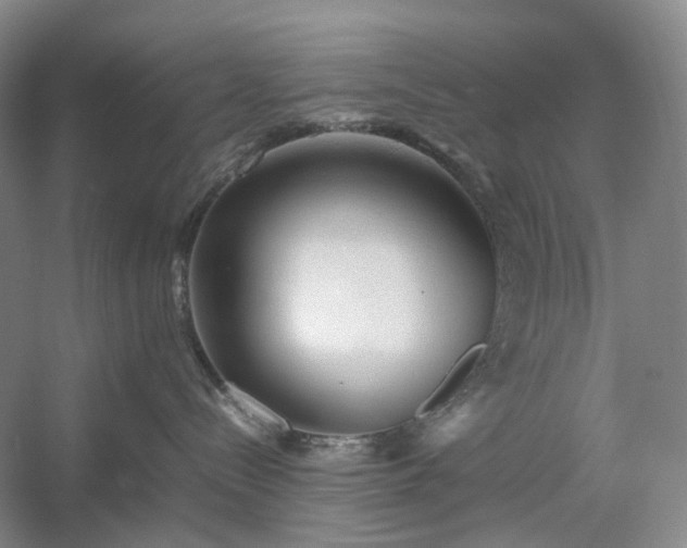 X0000054370288200508051603