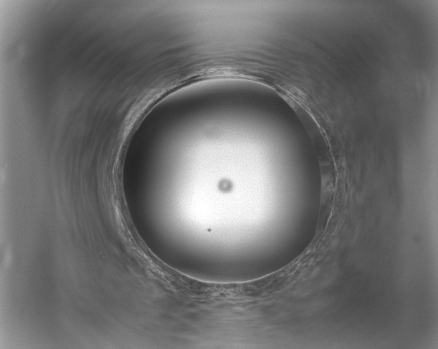 X0000054370289200508051602