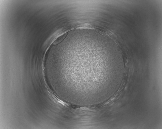 X0000054370290200508051602