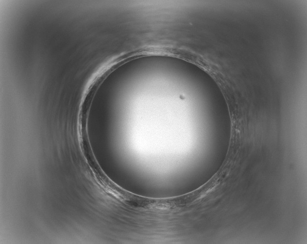 X0000054370294200508051602