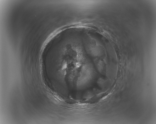 X0000054370295200508051602