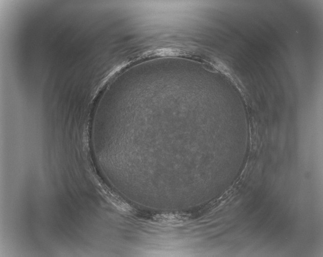 X0000054370297200508051602