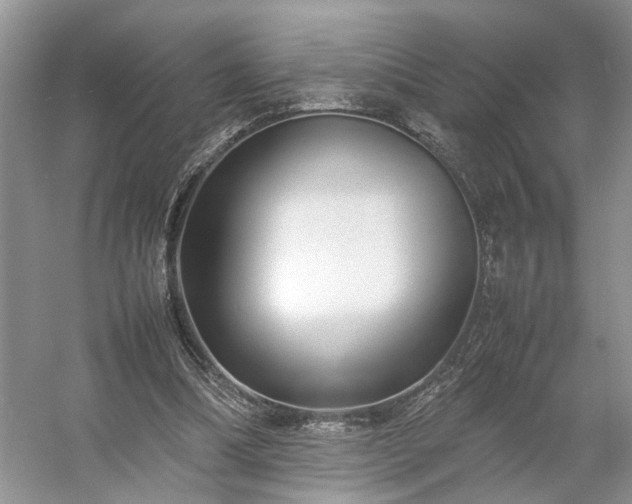 X0000054370298200508051602