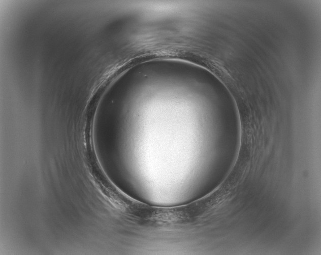 X0000054370299200508051602