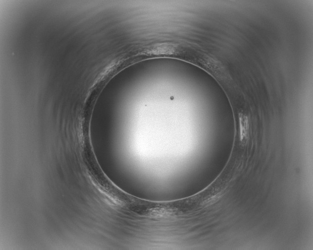 X0000054370300200508051602