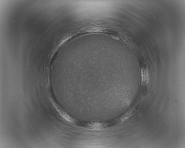 X0000054370301200508051602