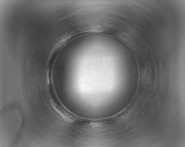 X0000054370302200508051602