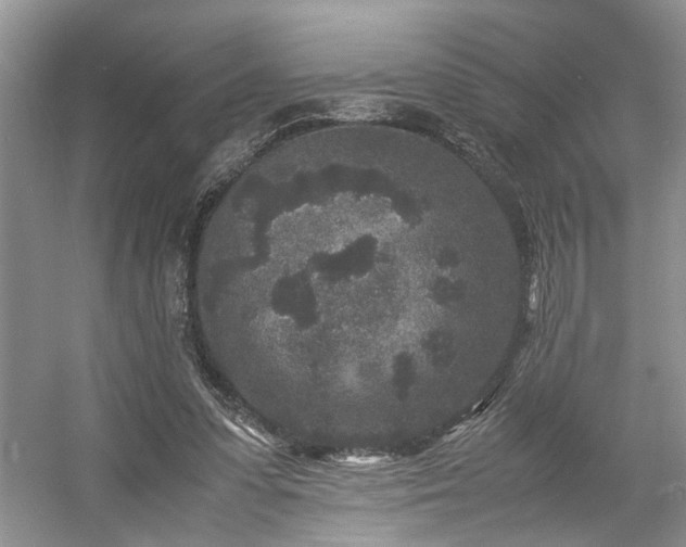 X0000054370303200508051602