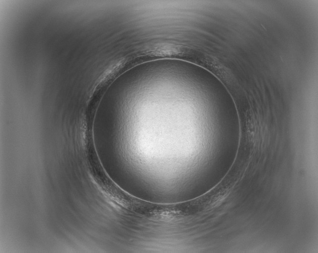 X0000054370304200508051602