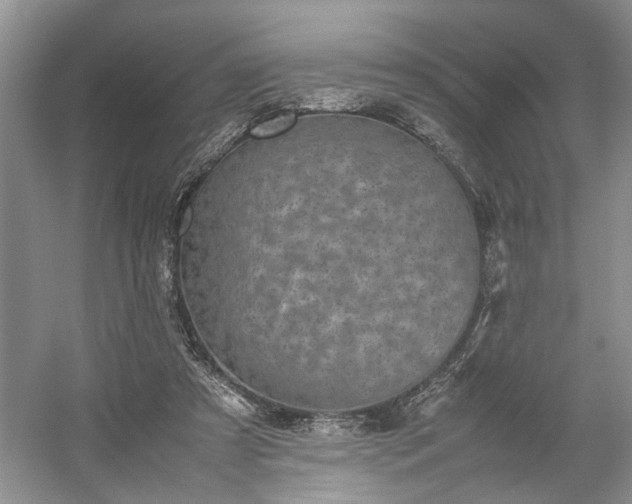 X0000054370305200508051602