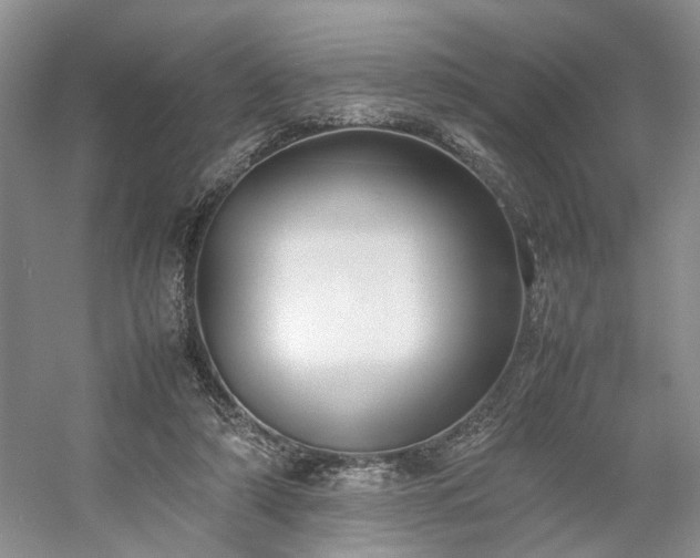 X0000054370306200508051602