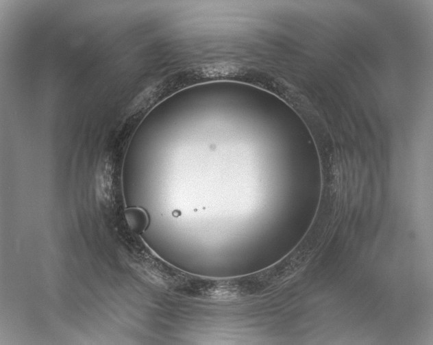 X0000054370308200508051602