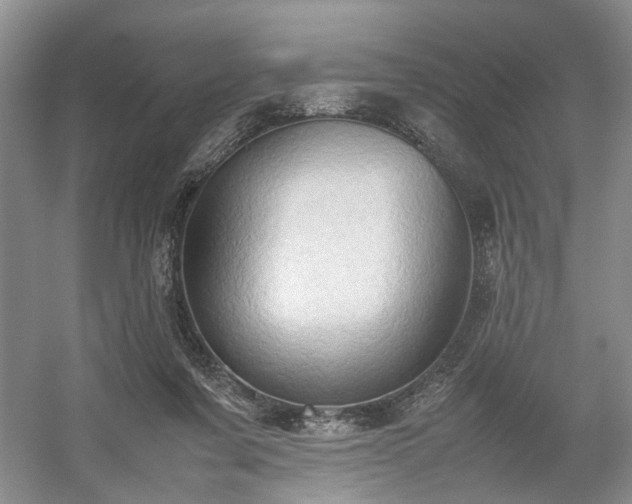 X0000054370311200508051602