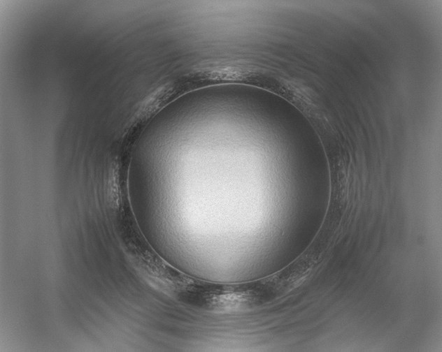 X0000054370312200508051602