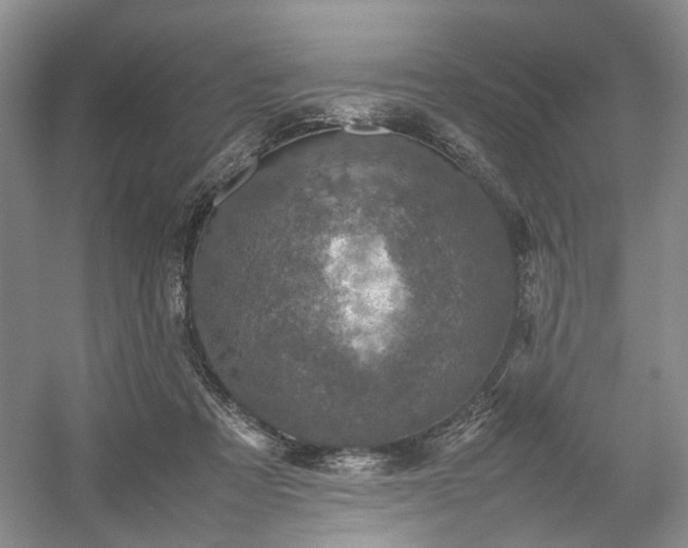 X0000054370313200508051602