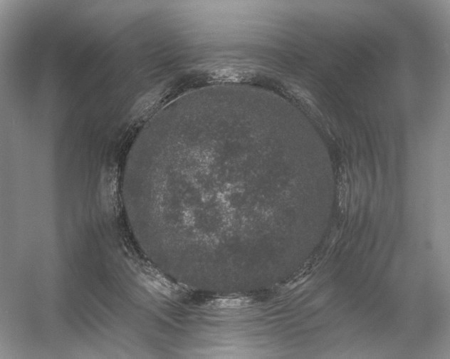 X0000054370314200508051602