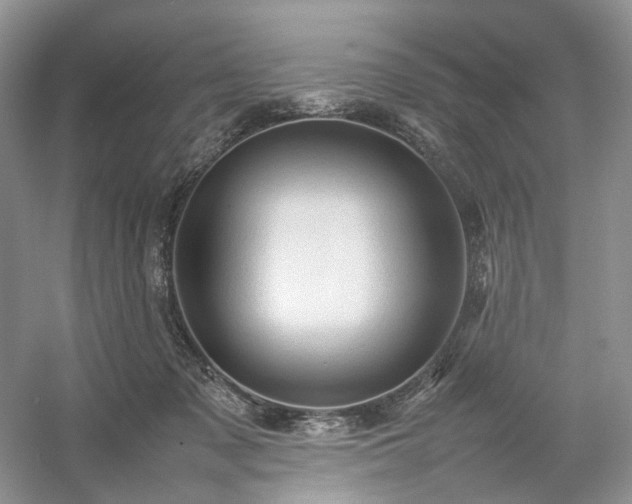 X0000054370317200508051602