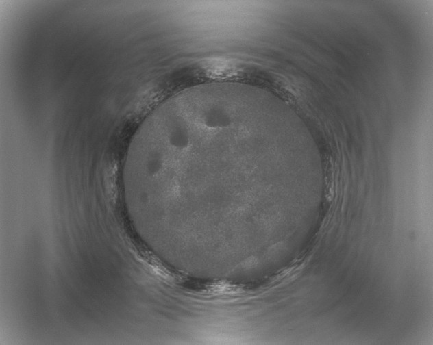 X0000054370319200508051602