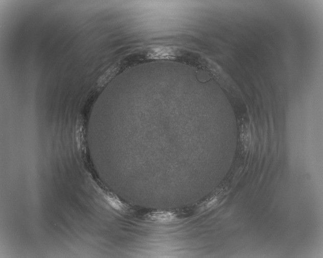 X0000054370322200508051602