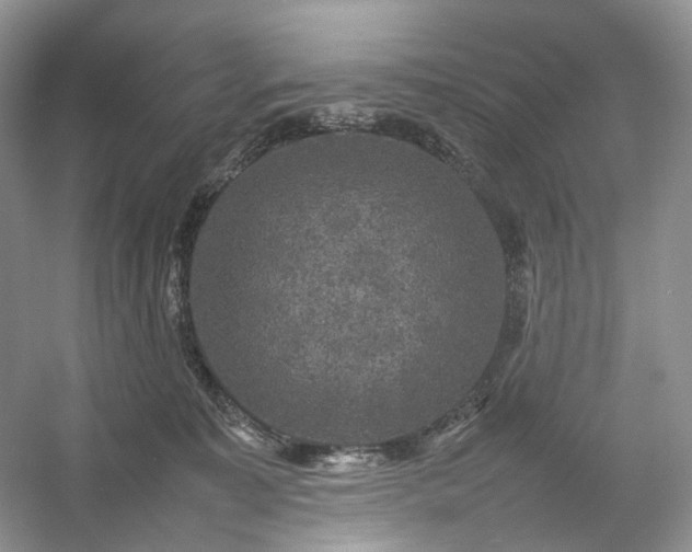 X0000054370323200508051602