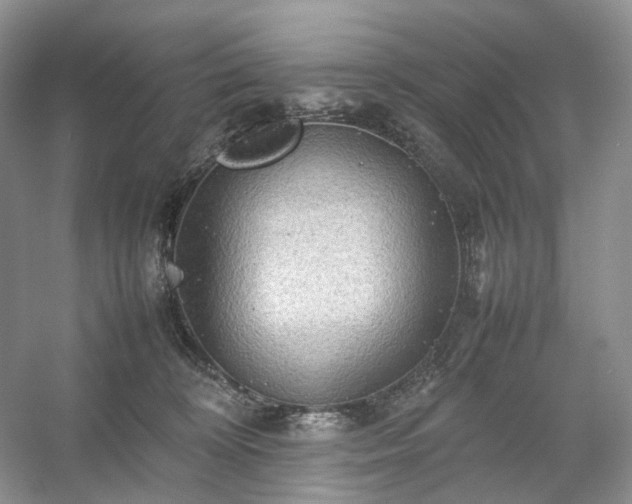 X0000054370324200508051602