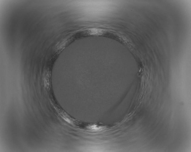 X0000054370325200508051602