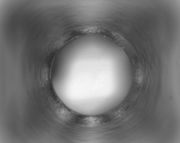 X0000054370326200508051602