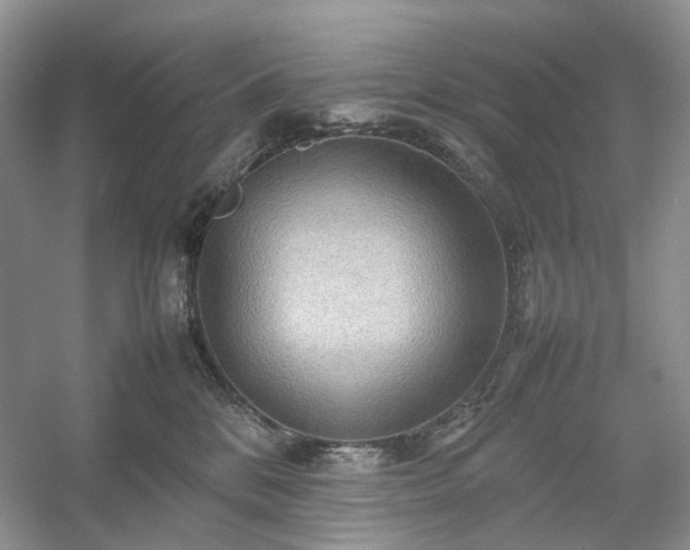 X0000054370328200508051602