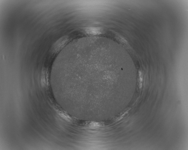 X0000054370330200508051601