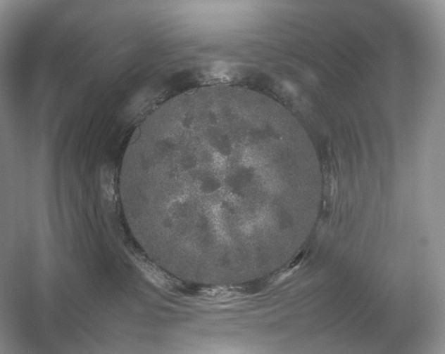 X0000054370331200508051601