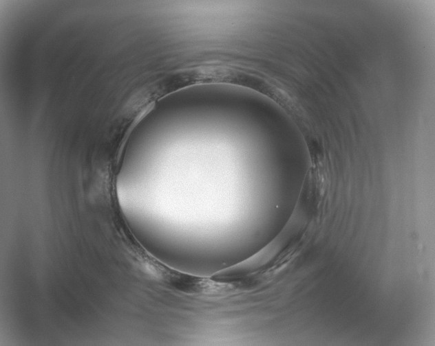 X0000054370333200508051601