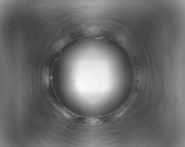 X0000054370334200508051601