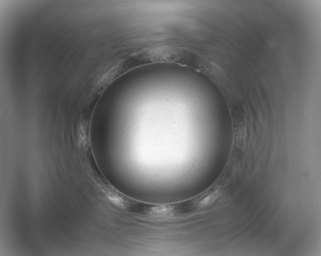 X0000054370335200508051601