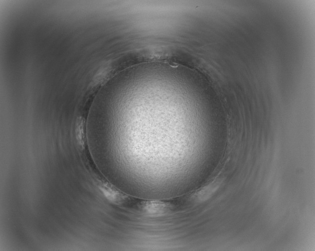 X0000054370336200508051601