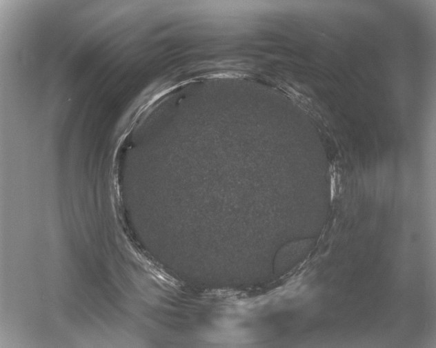 X0000054370339200508051601