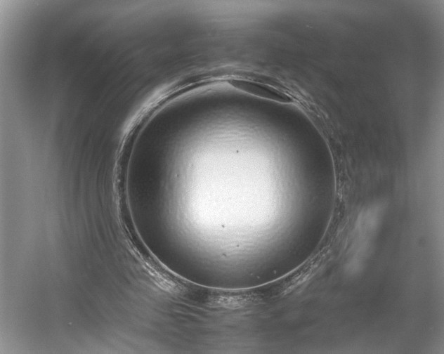 X0000054370341200508051601