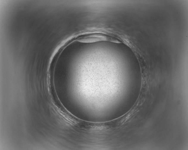 X0000054370342200508051601