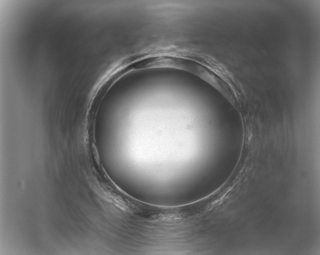 X0000054370344200508051601