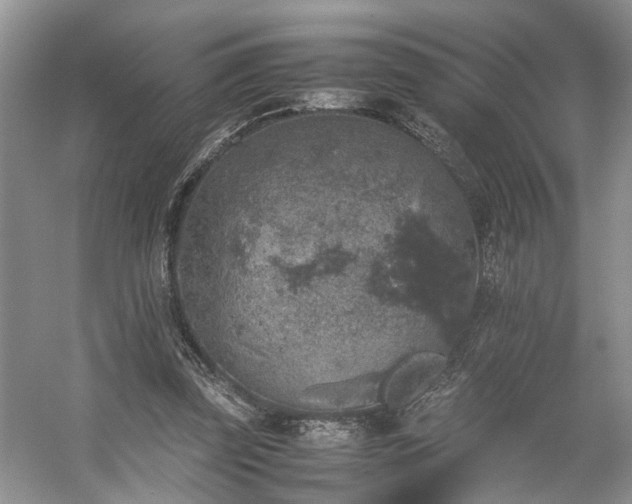 X0000054370347200508051601