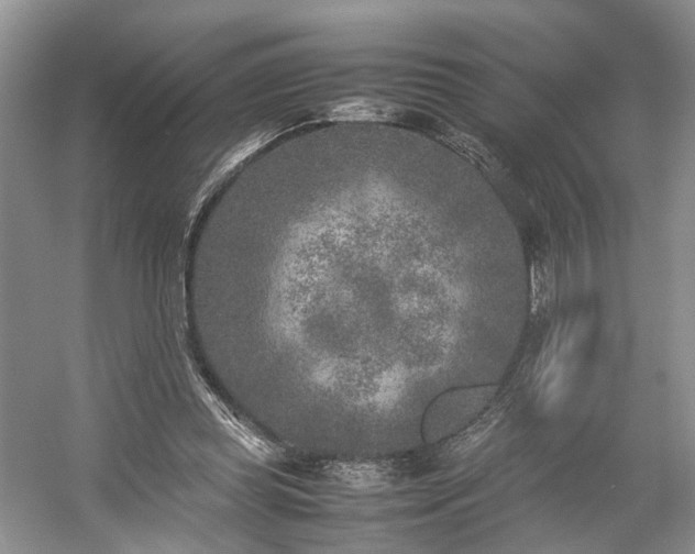 X0000054370349200508051601