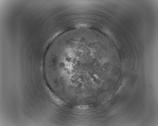 X0000054370353200508051601