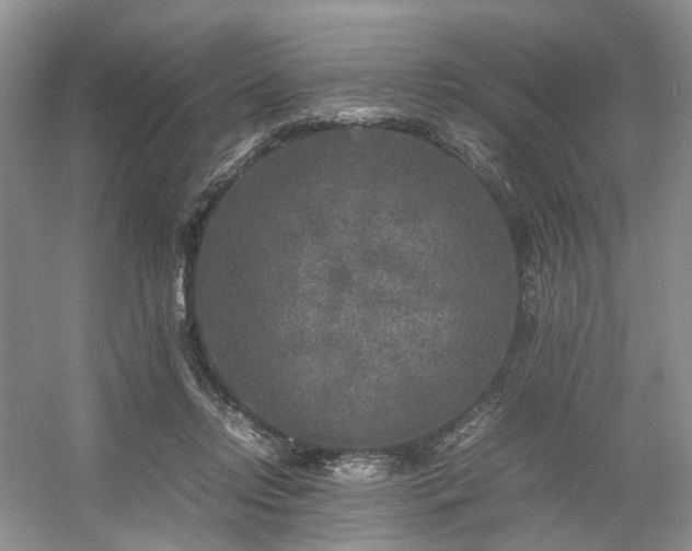 X0000054370358200508051601