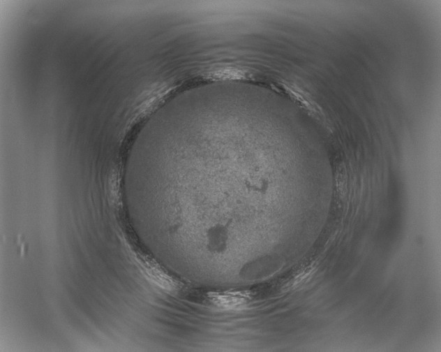 X0000054370359200508051601