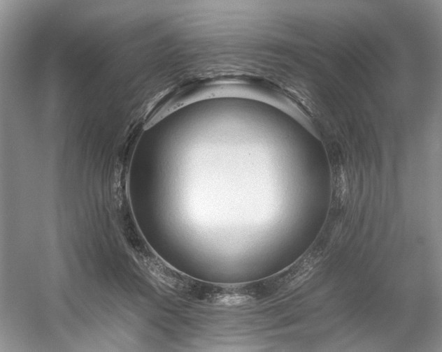 X0000054370360200508051601