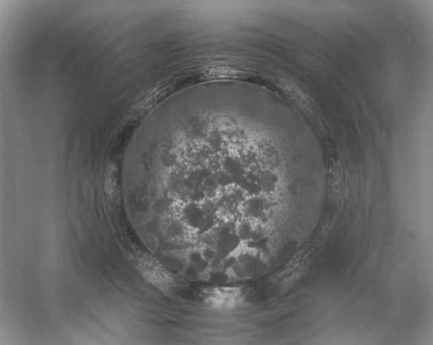 X0000054370361200508051601