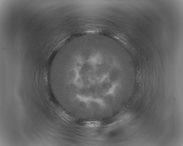 X0000054370363200508051601