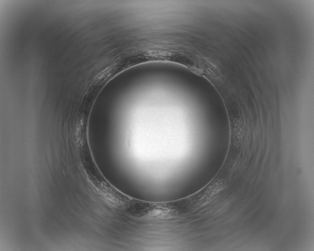 X0000054370364200508051601