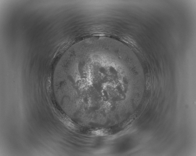 X0000054370365200508051601