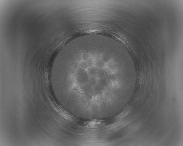 X0000054370366200508051601