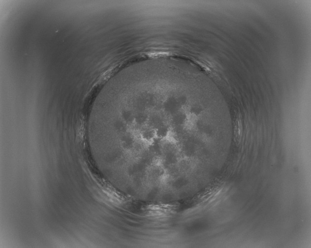 X0000054370367200508051601